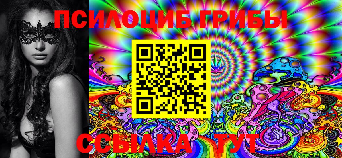 Псилоцибиновые грибы Psilocybine cubensis Мыски