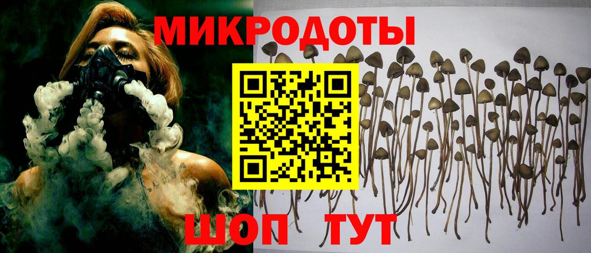 цена наркотик  Псилоцибиновые грибы ЛСД  Вход с VPN  Мыски 